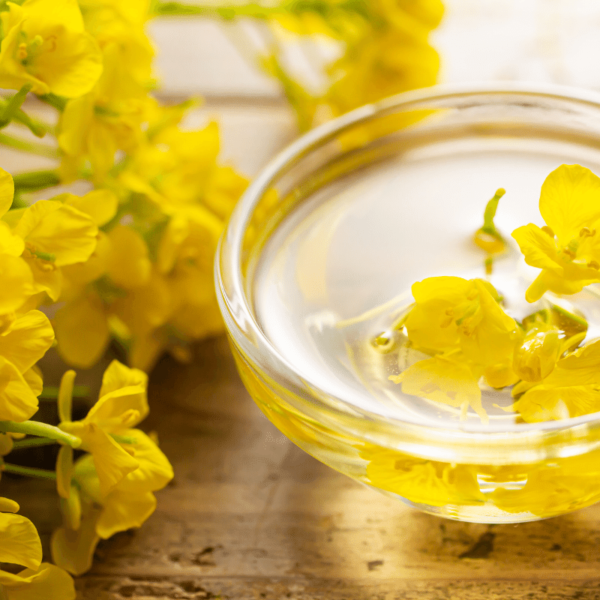 Sattvam Agro Sesame ColdPressed Cooking Oil